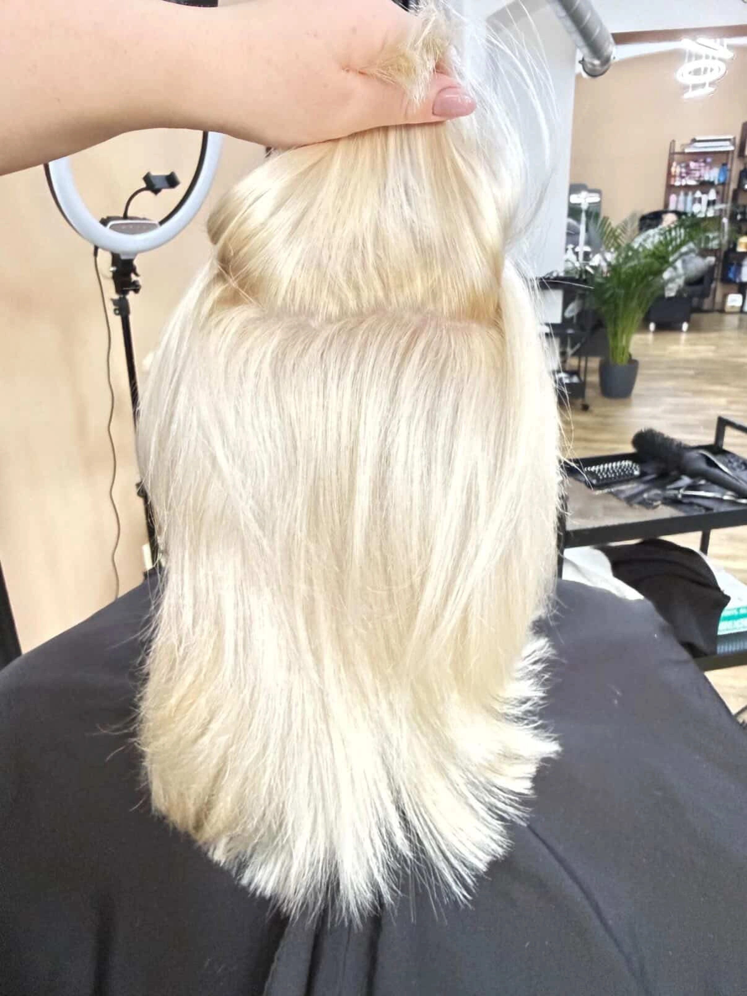 Ukázka odrostů a čistého platinového blond barvení u kořínků.